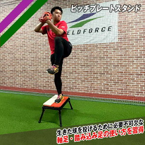 sb`v[gX^hFPP-1046ST{sb`v[g FPP-1046 sb`OK sb`v[g{X^hZbg yFIELDFORCEzytB[htH[Xz