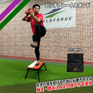 sb`v[gX^h FPP-1046ST v[g{Ouܕt sb`OK sb`v[g{X^hZbg yFIELDFORCEzytB[htH[Xz