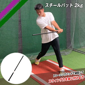 �싅 �X�`�[���o�b�g2kg FTB-200NB �g���[�j���O�o�b�g �t�B�[���h�t�H�[�X �}�X�R�b�g�o�b�g �p���[�A�b�v�yFIELDFORCE�z�y�t�B�[���h�t�H�[�X�z