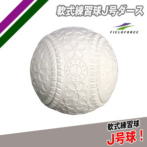 J K1_[X FNB-6812JN J yFIELDFORCEzytB[htH[Xz