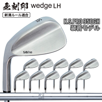 Amazon.com : Mizuno MP-20 Golf Iron Set 3-PW, Steel, Right