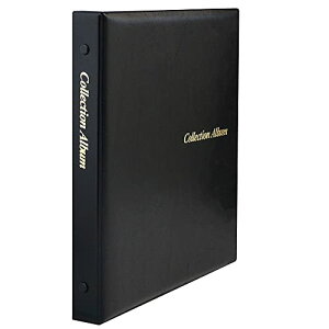 e[W[ Ao RNVAo B5 \̂  CA-31 TEJI ()