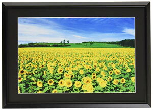 iJoV A~yʎʐ^z ChZcؔ ubN t-SA-223-D