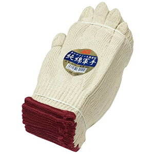 [ACE] ȌR 1_[X 750g 5{ AG155 f