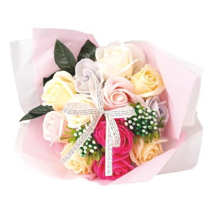 |s[É \[vt[ V{t[  Mtg v[g 12փu[P o ԑ 26cm NAobOt SBL-11