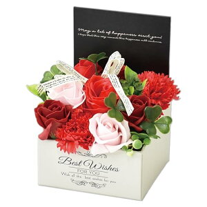 |s[É \[vt[ V{t[  Mtg v[g 9փu[P o {bNX 12cm MK-008 bh