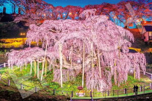 G|bN 1000s[X WO\[pY {i Ot̑- (50×75cm) 09-058s ̂t wt _t EP