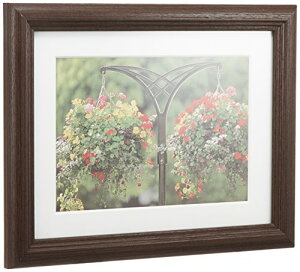 FUJICOLOR 額縁 YM-3 BR キャビネ 2L 木製 ブラウン 55231