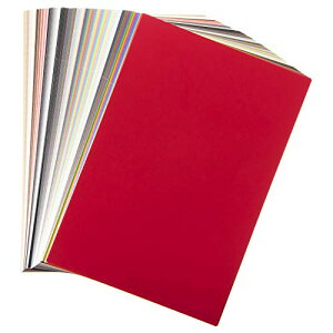 ���{�F������(Nihonsikikenjigyo) �V�z�F�J�[�h199c 12×17.5cm 50535