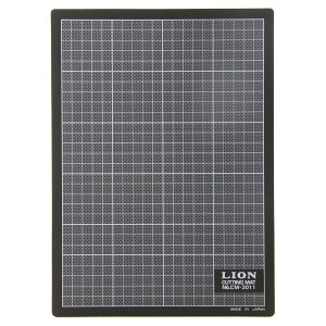 CI JbeBO}bg 300×220mm CM-3011 /