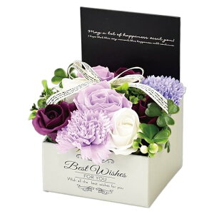 |s[É \[vt[ V{t[  Mtg v[g 9փu[P o {bNX 12cm MK-008 p[v