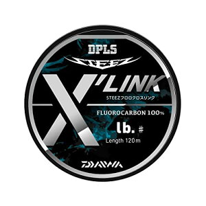 _C(DAIWA) XeB[Y t NXN 120m 16lb(#4) i`