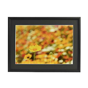 FUJICOLOR A~z A33 Ch4 ubN 306754