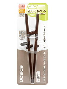 ATqm EDISON(GW\) GW\̂III Ep _[NuE 20cm l Ă݌v OɎw邾