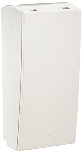 pi\jbN(Panasonic) RpNg21t[{bNX IoEp`124mm BQE325