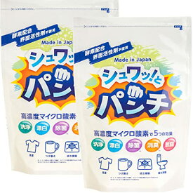 シュワッとパンチ 2パックセット 粉末 洗浄剤 除菌 漂白剤 消臭 掃除 洗剤 マルチクリーナー 浸け置き洗い 風呂掃除 洗濯