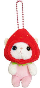 choochoo cat `[`[Lbg RX`[ }XRbg 