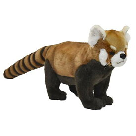 レッドパンダ67 No.6309