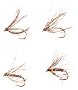 _C(DAIWA) eJѐjZbg EFbg\tgnbN1