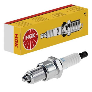 ���{���ꓩ��(NGK) ��ʃv���O (�^�[�~�i����̌`)1�{ �y4824�zBPR6ES-11 �X�p�[�N�v���O