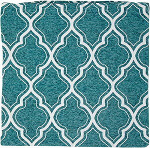 �P�[�A�C�W���p�� �J�����N�b�V�����J�o�[ �����b�RGR 45×45cm