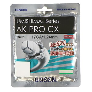 �S�[�Z�� AK �v�� CX 17 TS761 NA/�i�`������