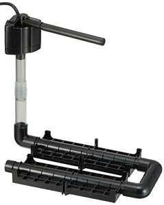 ANAVXe vWFNgtB^[PS Hzp }`J[