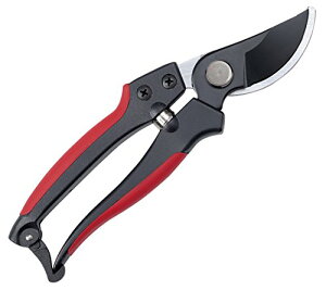 L{V(Kinboshi) A~GbWt 2280