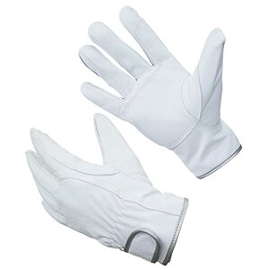 [ACE] Ǝ Rr{v }WbNe[v LLTCY AG041