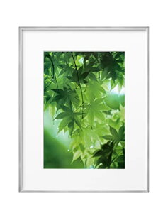 nNo HAKUBA y z ZEROt[ G-01 A4 Vo[ FZG01-A4SV