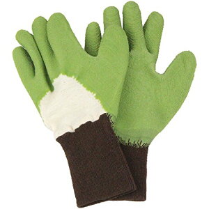 ZteB[3(Safety-3) gQɂ O[ S