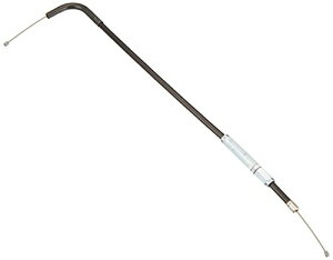 fCgi(Daytona) XbgP[u PELu NS1 NSR 30551