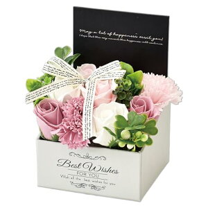 |s[É \[vt[ V{t[  Mtg v[g 9փu[P o {bNX 12cm MK-008 sN