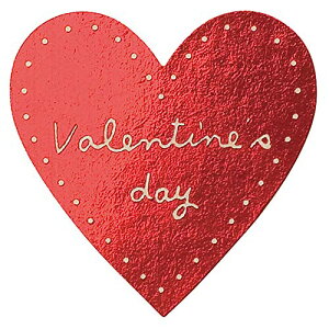 MtgV[ o^CfC ~jn[g bh (100) SV-15S