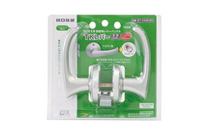 Z ֗po[nh TKo[  Vo[ DT1-1M-MS(60)