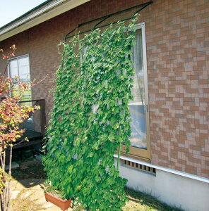 DAIM TCh[vt ΂̃J[elbg 3.6×5m