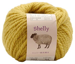 A XL[ ҂ݖю VF[ыɑ(10ʃZbg) Col.3003