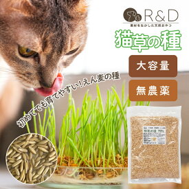 【まとめ買いクーポン配布中】 猫草の種 700g 無農薬 大容量 お得用 R＆D 猫草 種 栽培 ペット ネコ 犬 うさぎ タネ たね 毛玉ケア おなか おやつ フード 植木 土 ペットグラス エン麦 多頭飼い 自宅