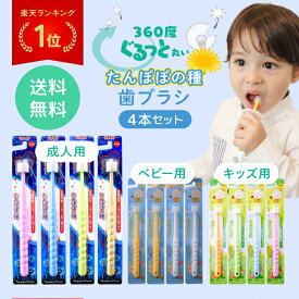 【まとめ買いクーポン配布中】 たんぽぽの種 360度 歯ブラシ 4本セット 極細毛 ベビー用 キッズ用 成人用 カラーアソート 色はおまかせ メール便配送