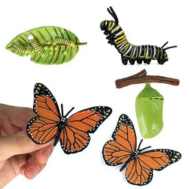【AAGWW】リアルな動物 教育玩具 動物の成長サイクルモデル ミニ動物 蝶 ハチ セブンスターレディーバグ ギフト（製品の内容：蝶の成長周期モデル4つの要素）