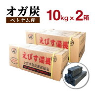 オガ炭 えびす備長 【10kg×2箱】 ベトナム産 炭 備長炭 オガ備長炭 おが炭 練り炭 オガ10kg×2 20kg 飲…