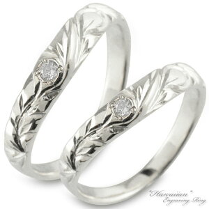 y10OFFN[|zzz nCAWG[ yAO nCA _Ch fB[X Y O Vo[ sv925 }C [t XN[ nO  蒤 w 