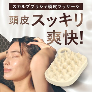 yBan-Yan XJvuVz  Vv[uV@RuV o PA tgAbv XJv PA  jIC  Lv[g Mtg