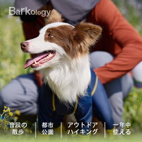 ヨガ 犬の通販