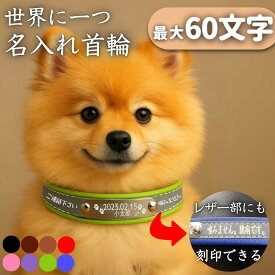 【名入れ 迷子 連絡先彫刻】 【60文字まで彫刻可能】 犬用首輪 全犬種対応 猫首輪対応 サイズ調整簡単 迷子札 犬 身元証明 フルネーム可 オーダーメイド おしゃれ 黒色 茶色 桃色 紫色 赤色 青色 緑色 かわいい 小型犬 中型犬 迷子防止 手洗い可能 ドッグ ネック フープ