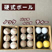 楽天市場】硬式ボール 野球 練習用の通販