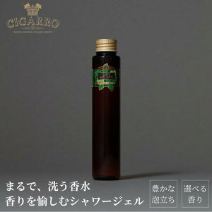 yOUTLETN[|p20%OFFz V[WF hCq[g {fB\[v Ό  100mL  { Y NX}X Mtg j ގ U ϕi v[g RX e X