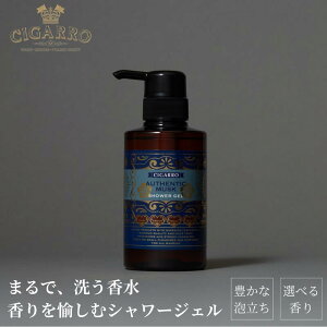 yOUTLETN[|p20%OFFz V[WF I[ZeBbNXN {fB\[v Ό  300mL  { Y NX}X Mtg j ގ U ϕi v[g RX