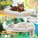 【3/4(水)まで★10％OFFクーポン発行中!】 猫 ハンモック 猫ベッド 吸盤式 暖かい 折畳み式 猫用ハンモック 猫 ハンモ…