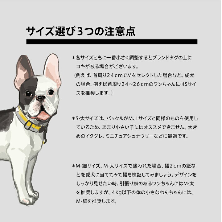 楽天市場 犬 首輪 小型犬 大型犬 日本製 洗える 全国送料無料 Ciiron Tokyo 首輪 M 細サイズ首周り24 40cm 幅2cm犬 日本製 オシャレ カラー ハーネス 小型犬 中型犬 大型犬シンプル ポリエステル素材 軽い リード 手洗い可能 かわいい ブランド